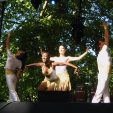 Y Salsa 08
